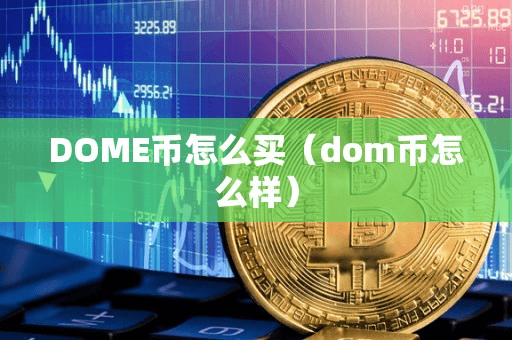 DOME币怎么买(dom币怎么样)