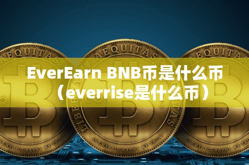 EverEarn BNB币是什么币(everrie是什么币)
