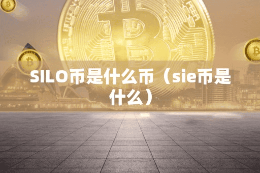 SILO币是什么币(ie币是什么)