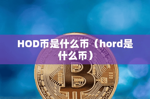 HOD币是什么币(hord是什么币)