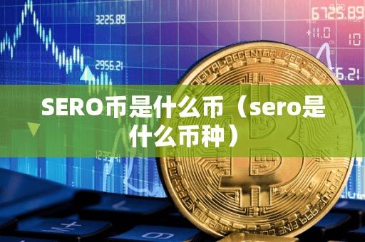 SERO币是什么币(ero是什么币种)