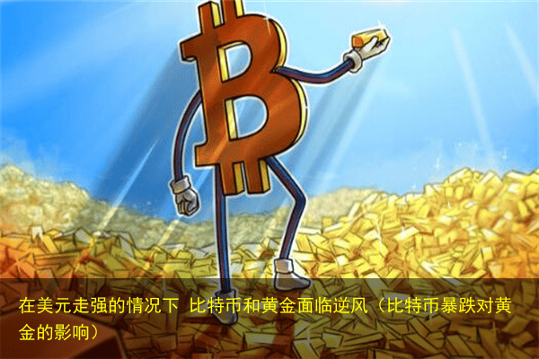 在美元走强的情况下 比特币和黄金面临逆风(比特币暴跌对黄金的影响)