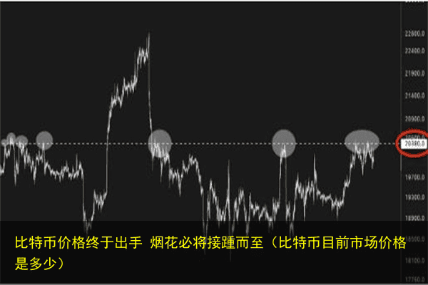 比特币价格终于出手 烟花必将接踵而至(比特币目前市场价格是多少)