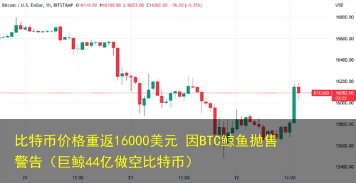 比特币价格重返16000美元 因BTC鲸鱼抛售警告(巨鲸44亿做空比特币)