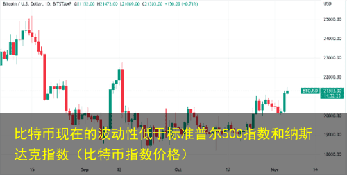 比特币现在的波动性低于标准普尔500指数和纳斯达克指数(比特币指数价格)