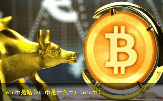etc币是啥(etc币是什么币)(etc币)