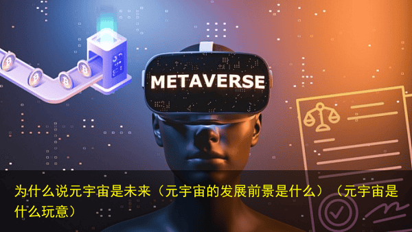 为什么说元宇宙是未来(元宇宙的发展前景是什么)(元宇宙是什么玩意)