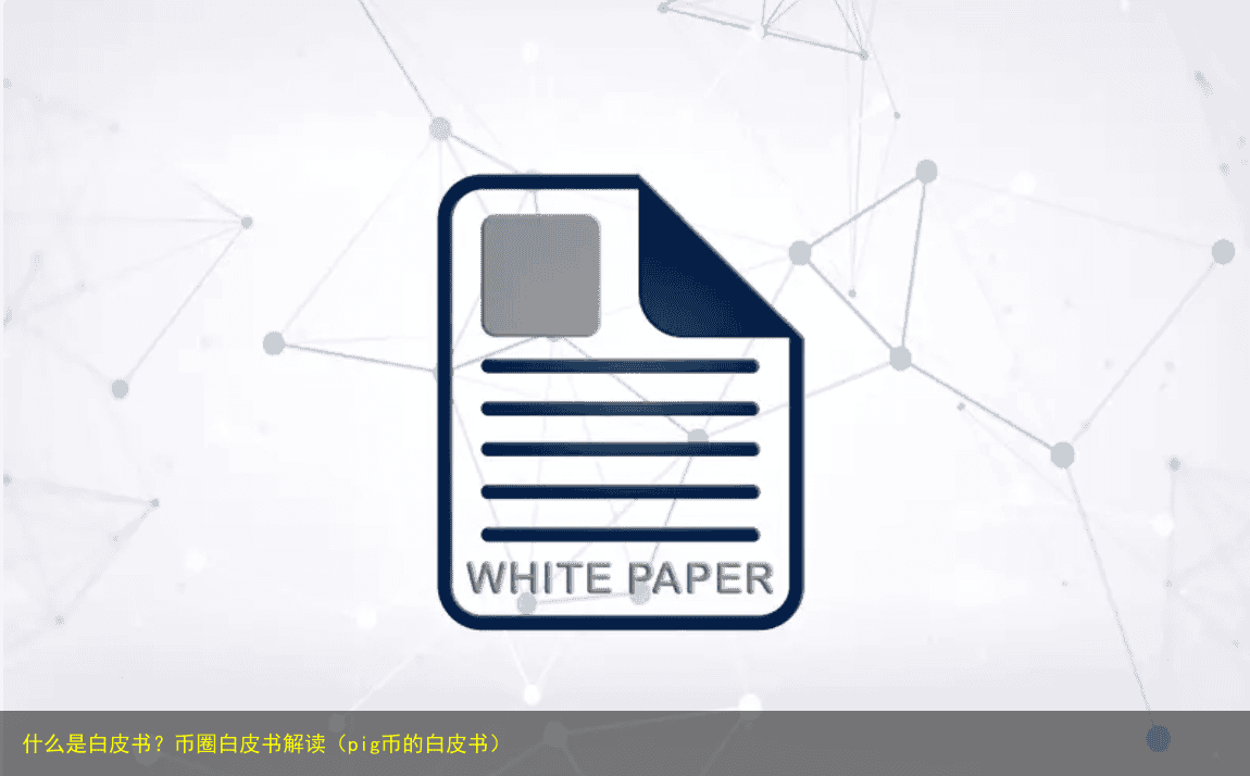 什么是白皮书?币圈白皮书解读(pig币的白皮书)