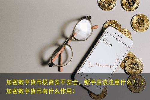 加密数字货币投资安不安全,新手应该注意什么?(加密数字货币有什么作用)