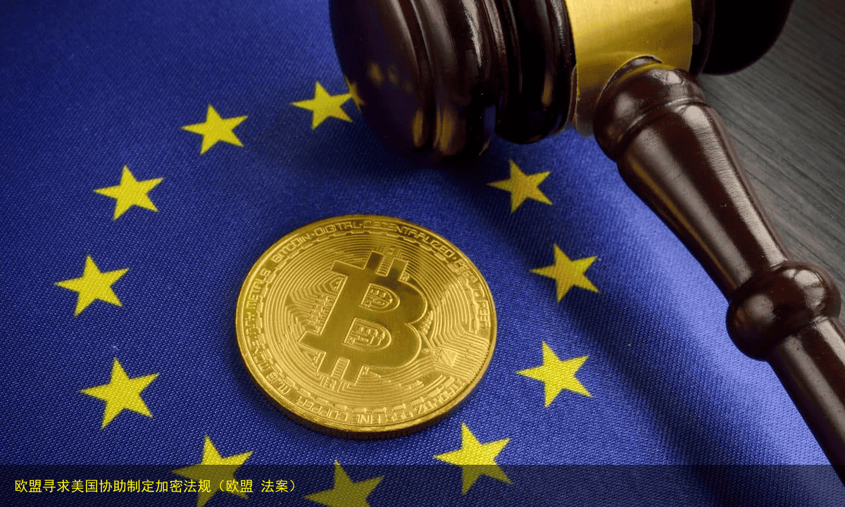 欧盟寻求美国协助制定加密法规(欧盟 法案)