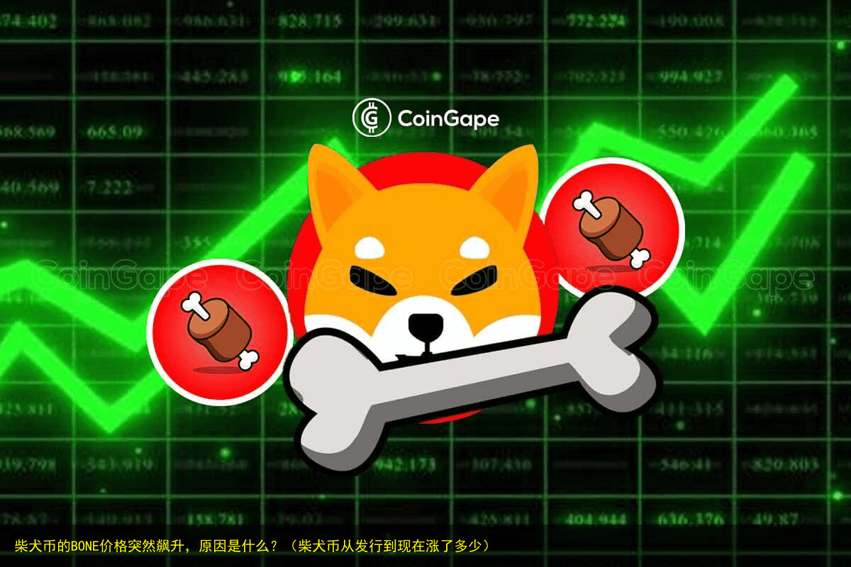 柴犬币的BONE价格突然飙升,原因是什么?(柴犬币从发行到现在涨了多少)