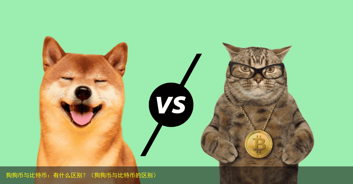 狗狗币与比特币:有什么区别?(狗狗币与比特币的区别)