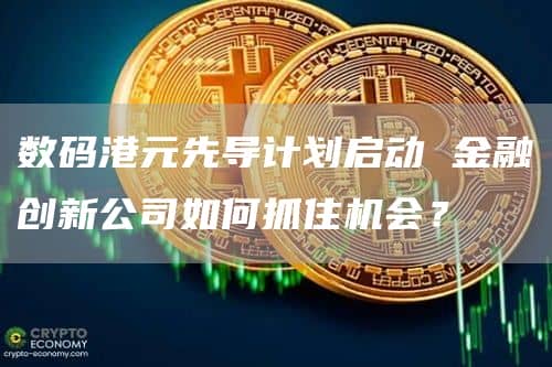 数码港元先导计划启动 金融创新公司如何抓住机会?