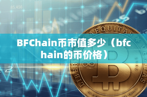 BFChain币市值多少（bfchain的币价格）
