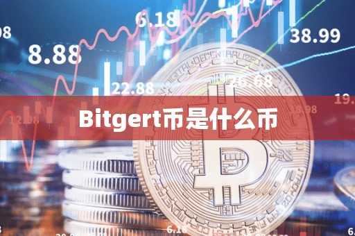 Bitgert币是什么币