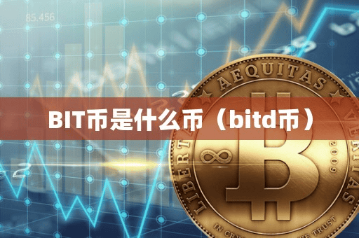 BIT币是什么币(bitd币)