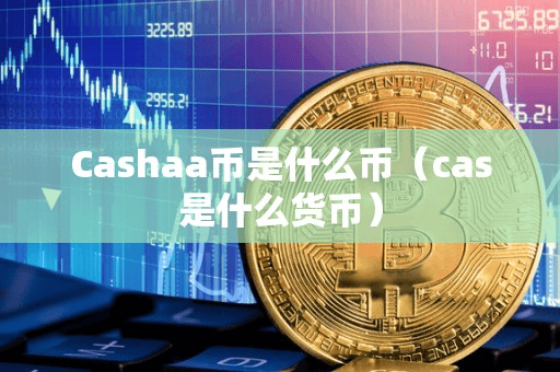 Cahaa币是什么币(ca是什么货币)