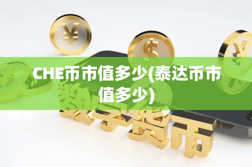 CHE币市值多少(泰达币市值多少)