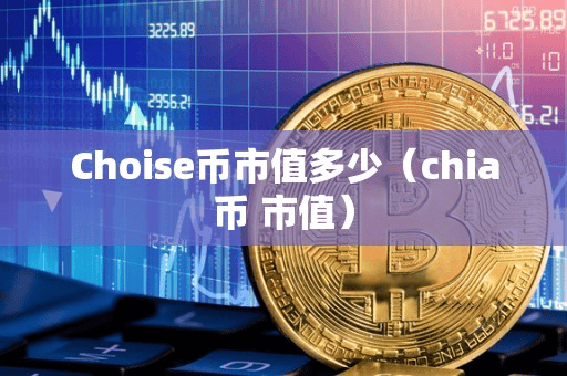 Choie币市值多少（chia币 市值）