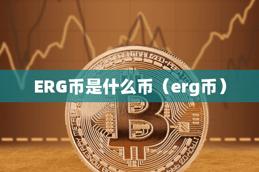 ERG币是什么币(erg币)