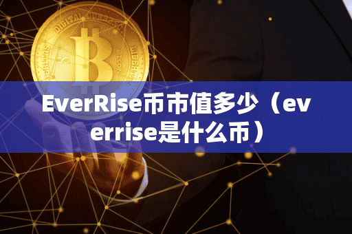 EverRie币市值多少（everrie是什么币）