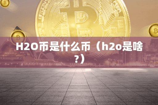 H2O币是什么币(h2o是啥)