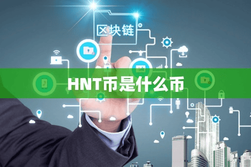 HNT币是什么币