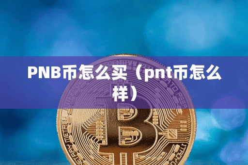 PNB币怎么买(pnt币怎么样)