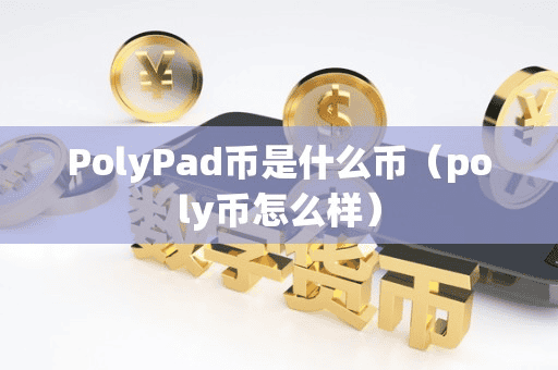 PolyPad币是什么币(poly币怎么样)