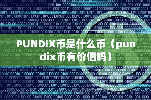 PUNDIX币是什么币(pundix币有价值吗)