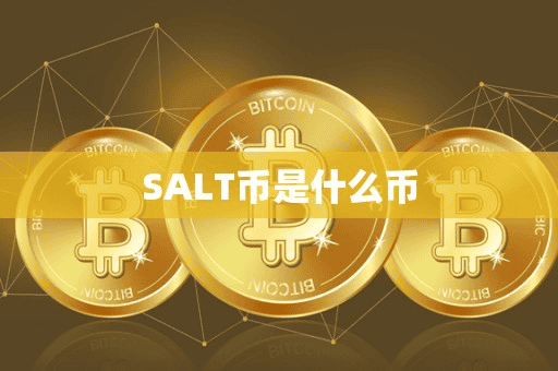 SALT币是什么币