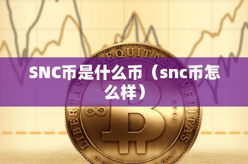 SNC币是什么币(nc币怎么样)