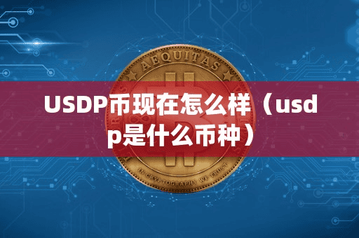 USDP币现在怎么样(udp是什么币种)
