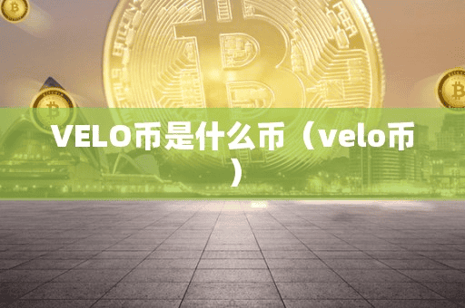 VELO币是什么币(velo币)