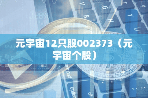 元宇宙12只股002373(元宇宙个股)