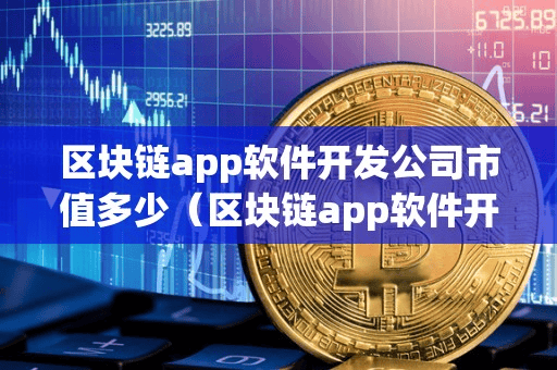 区块链app软件开发公司市值多少(区块链app软件开发公司市值多少亿)