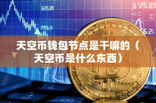 天空币钱包节点是干嘛的(天空币是什么东西)