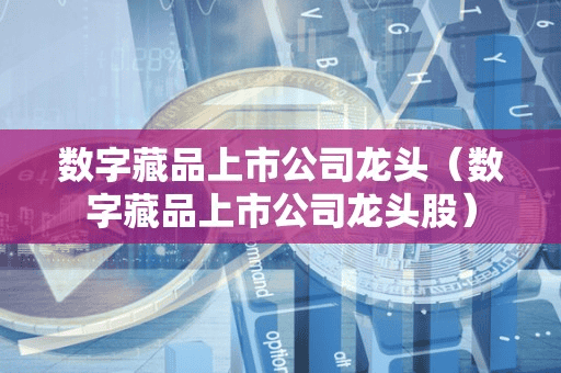 数字藏品上市公司龙头(数字藏品上市公司龙头股)