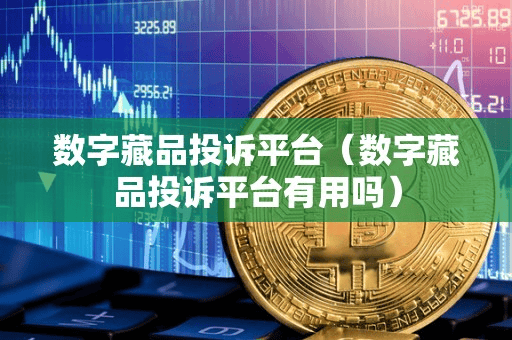 数字藏品投诉平台(数字藏品投诉平台有用吗)
