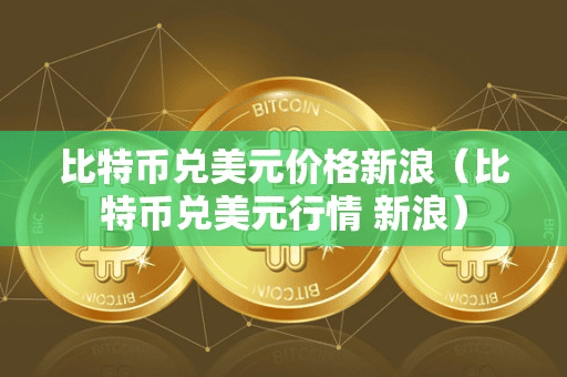 比特币兑美元价格新浪(比特币兑美元行情 新浪)