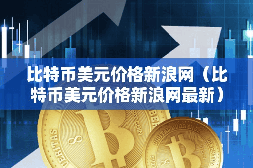 比特币美元价格新浪网(比特币美元价格新浪网最新)