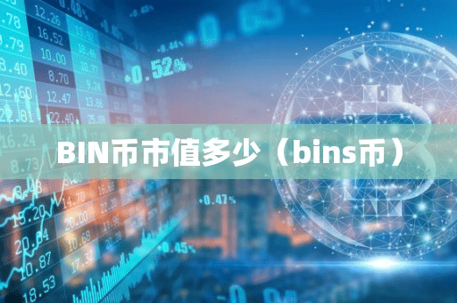 BIN币市值多少(bin币)