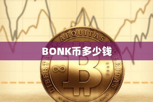 BONK币多少钱
