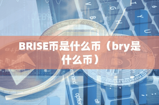 BRISE币是什么币(bry是什么币)