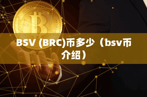 BSV (BRC)币多少(bv币介绍)