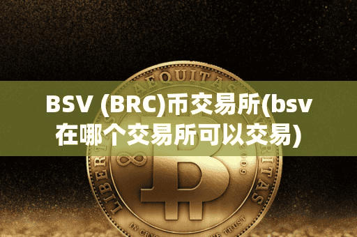 BSV (BRC)币交易所(bv在哪个交易所可以交易)