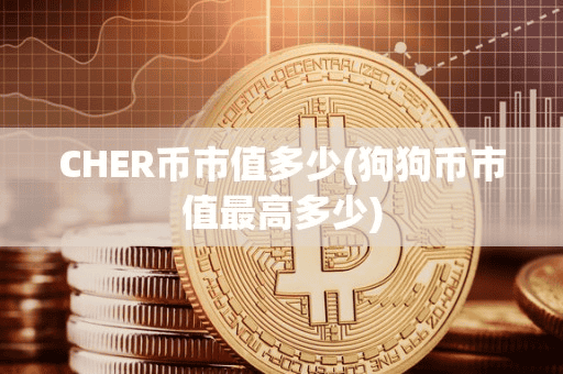 CHER币市值多少(狗狗币市值最高多少)