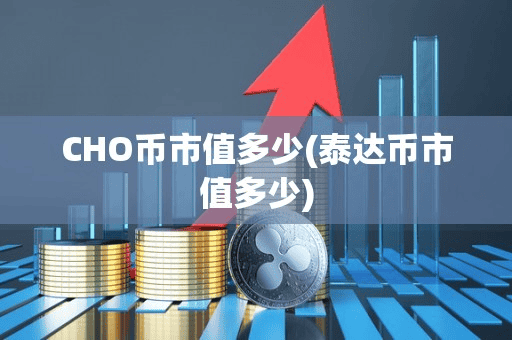CHO币市值多少(泰达币市值多少)