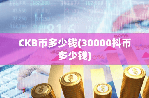 CKB币多少钱(30000抖币多少钱)