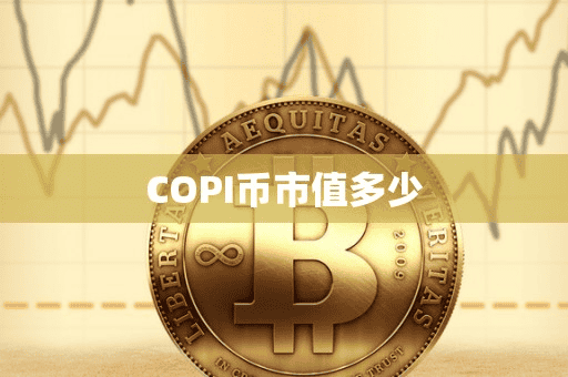 COPI币市值多少
